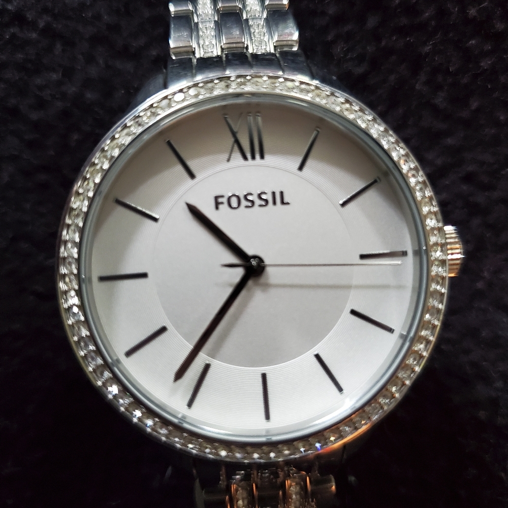 Fossils Watch